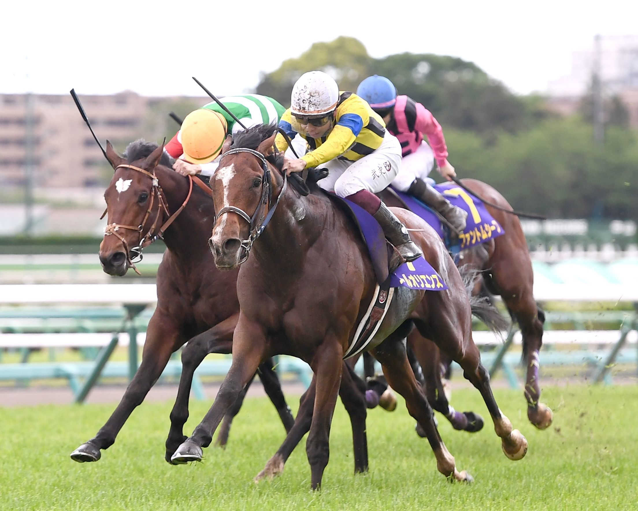 ２３年皐月Ｖ・ソールオリエンスが引退　種牡馬入りへ　父キタサンブラックの種付け料高騰で後継馬に需要