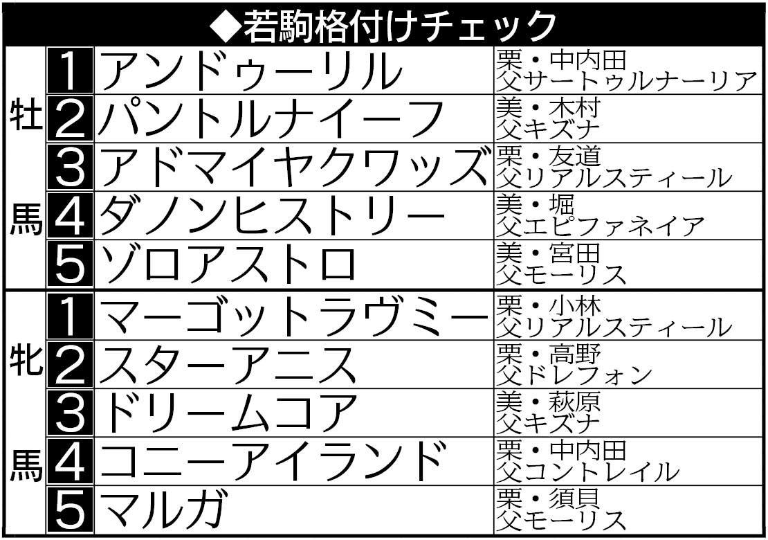 【若駒格付けチェック】牝馬首位にマーゴットラヴミー　１８年ラヴズに並ぶ好時計で白菊賞Ｖ　牡馬１位はアンドゥーリル