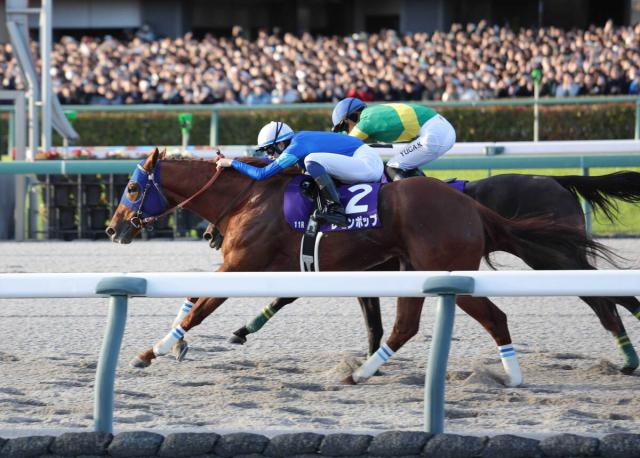 【チャンピオンズC・記録メモ1】G1級勝ち馬は2014年以降10勝と盤石!?　3歳馬はやや苦戦のデータも