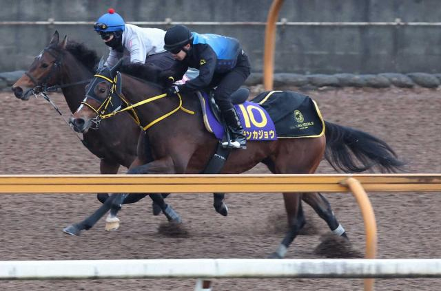 【チャンピオンズC】テンカジョウ、単走きびきび　岡田師「円熟味が出てきた」