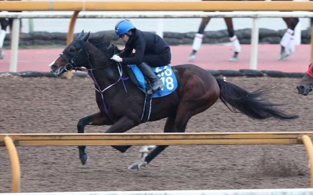 【鳴尾記念】追ってひと言