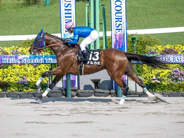 【チャンピオンズC展望】3歳馬ナルカミが世代交代を告げる