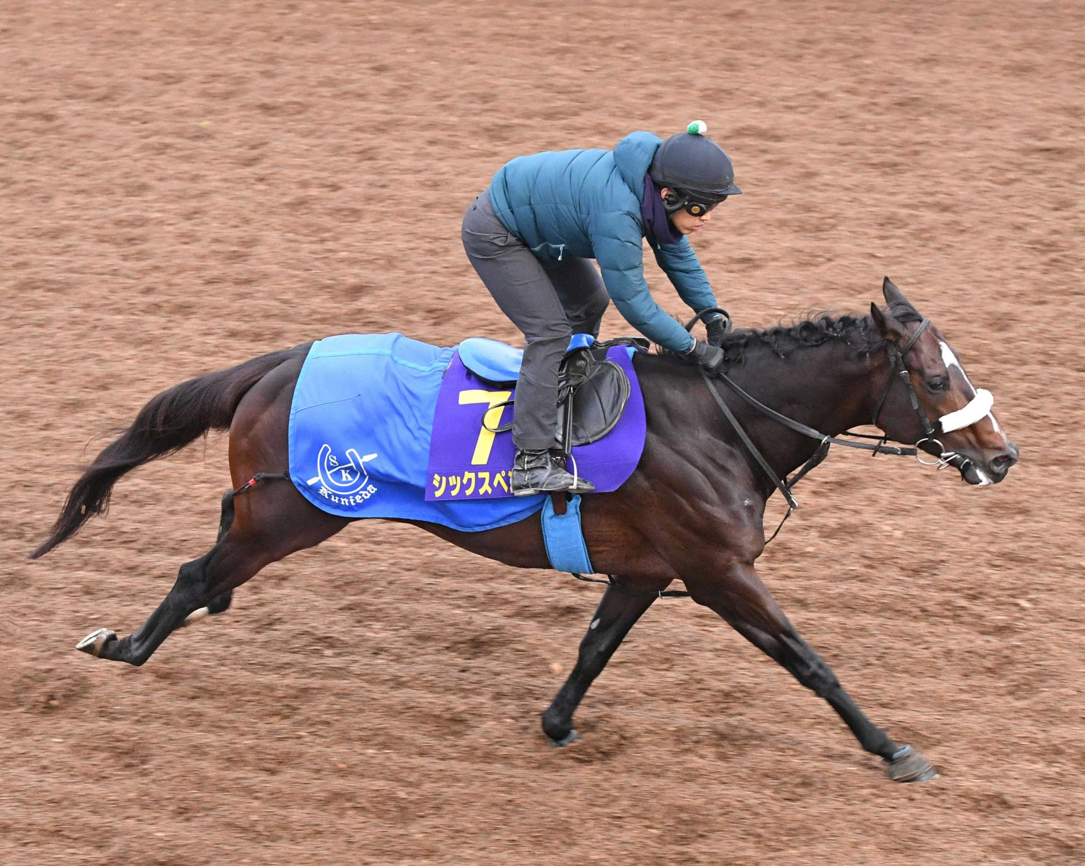 【チャンピオンズＣ】シックスペンス　馬なりできっちり先着　国枝師「上積みある」前走以上の走りに期待