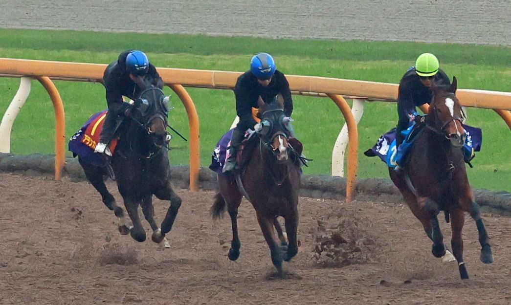 【阪神ＪＦ】アランカール　休み明け感じぬ切れ味　精神面でも成長　北村友「少しゆとりが出てきた」