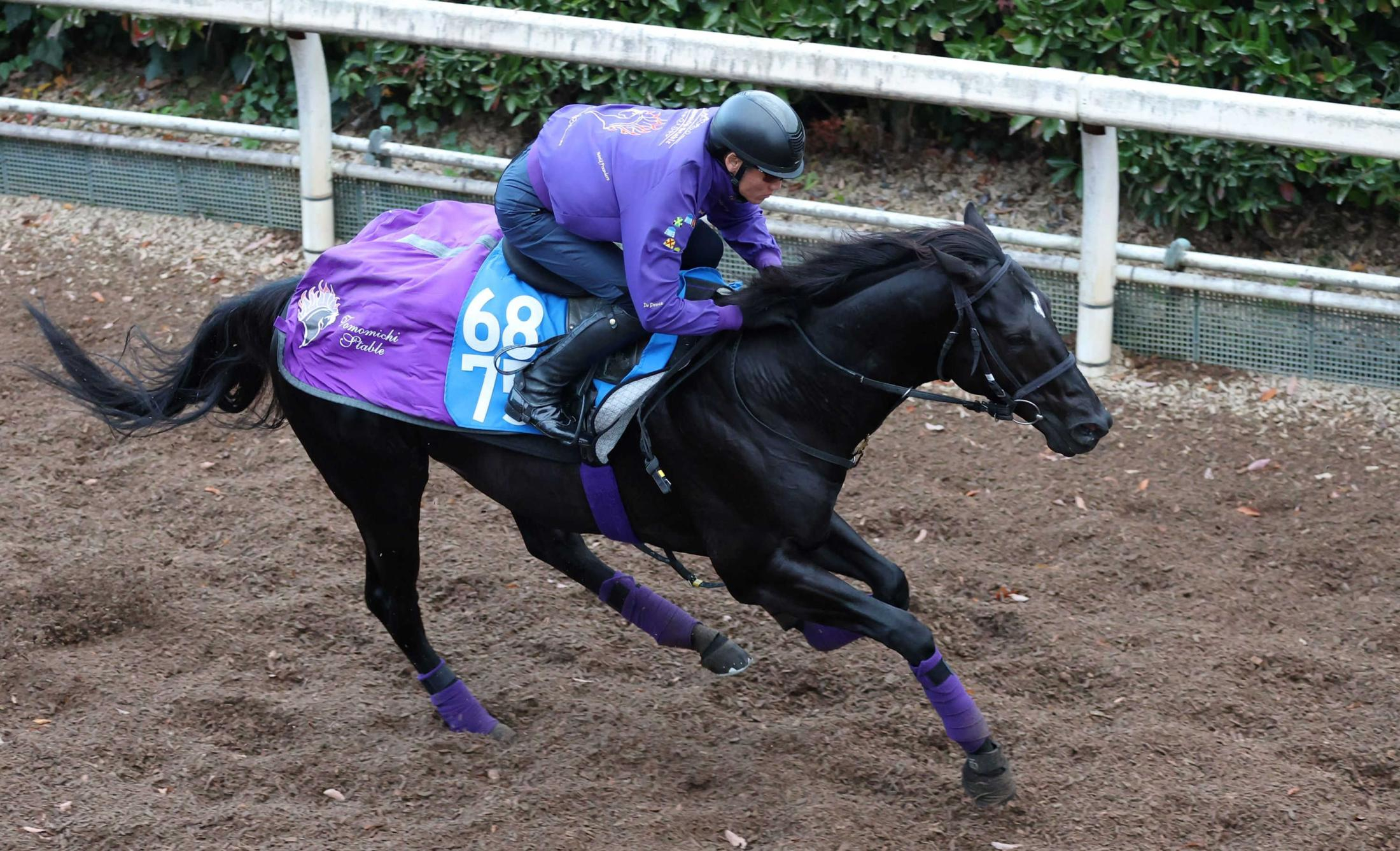【鳴尾記念】グランヴィノス　軽快登坂　友道師「大型馬ですから広いコースはいい」外回りコース歓迎
