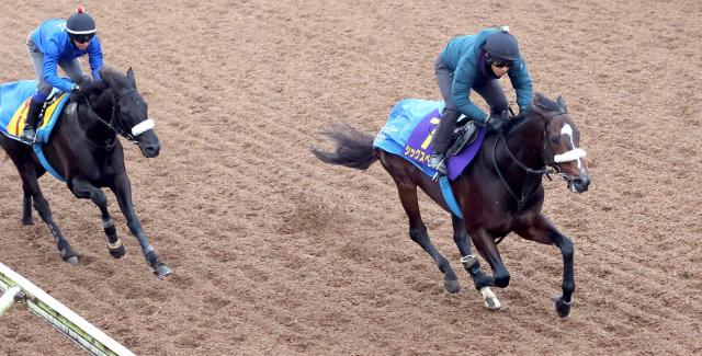 【チャンピオンズC】動き最高評価Gはシックスペンス　スピード感十分の4ハロン52秒1は堂々の1番時計タイ