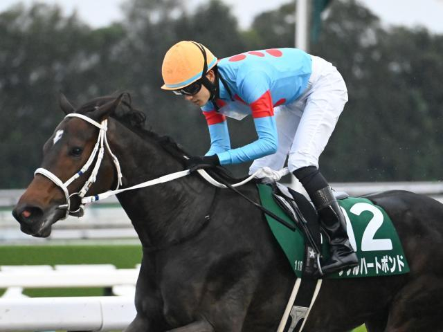 【チャンピオンズC枠順確定】ダブルハートボンドは1枠2番、ナルカミは6枠12番