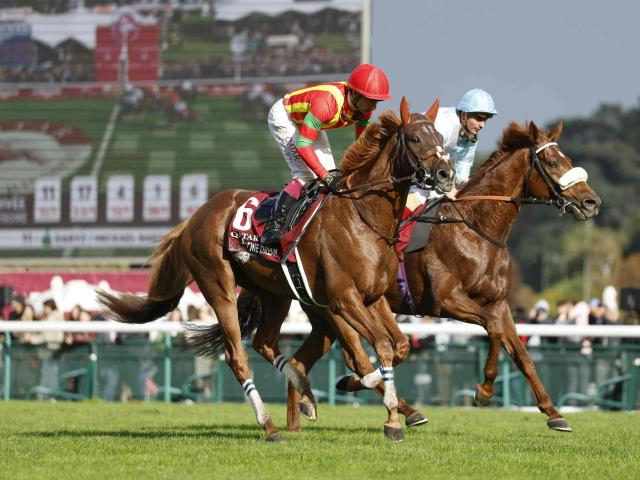 【有力馬動向】ビザンチンドリームが坂路で追い切り 凱旋門賞5着後もダメージなさそう/馬三郎のつぶやき