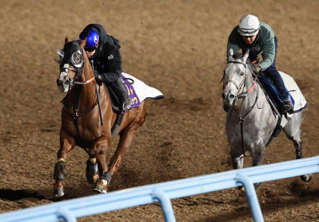 【香港ヴァーズ】アーバンシック上昇、武井師「1度使った分、動けるようになっている」