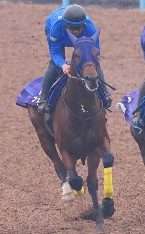 【チャンピオンズC】ナルカミは6枠12番　田中博師「与えられた枠で頑張ります」