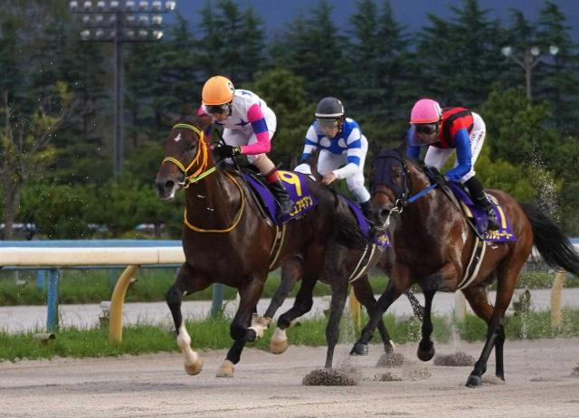 【ステイヤーズS】天国から先代も見守るピュアキアンの挑戦