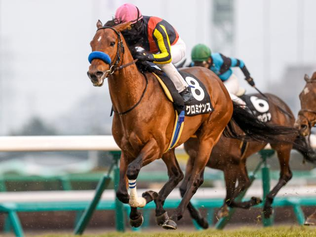 【今日の注目ポイント】中山でステイヤーズSと阪神で鳴尾記念