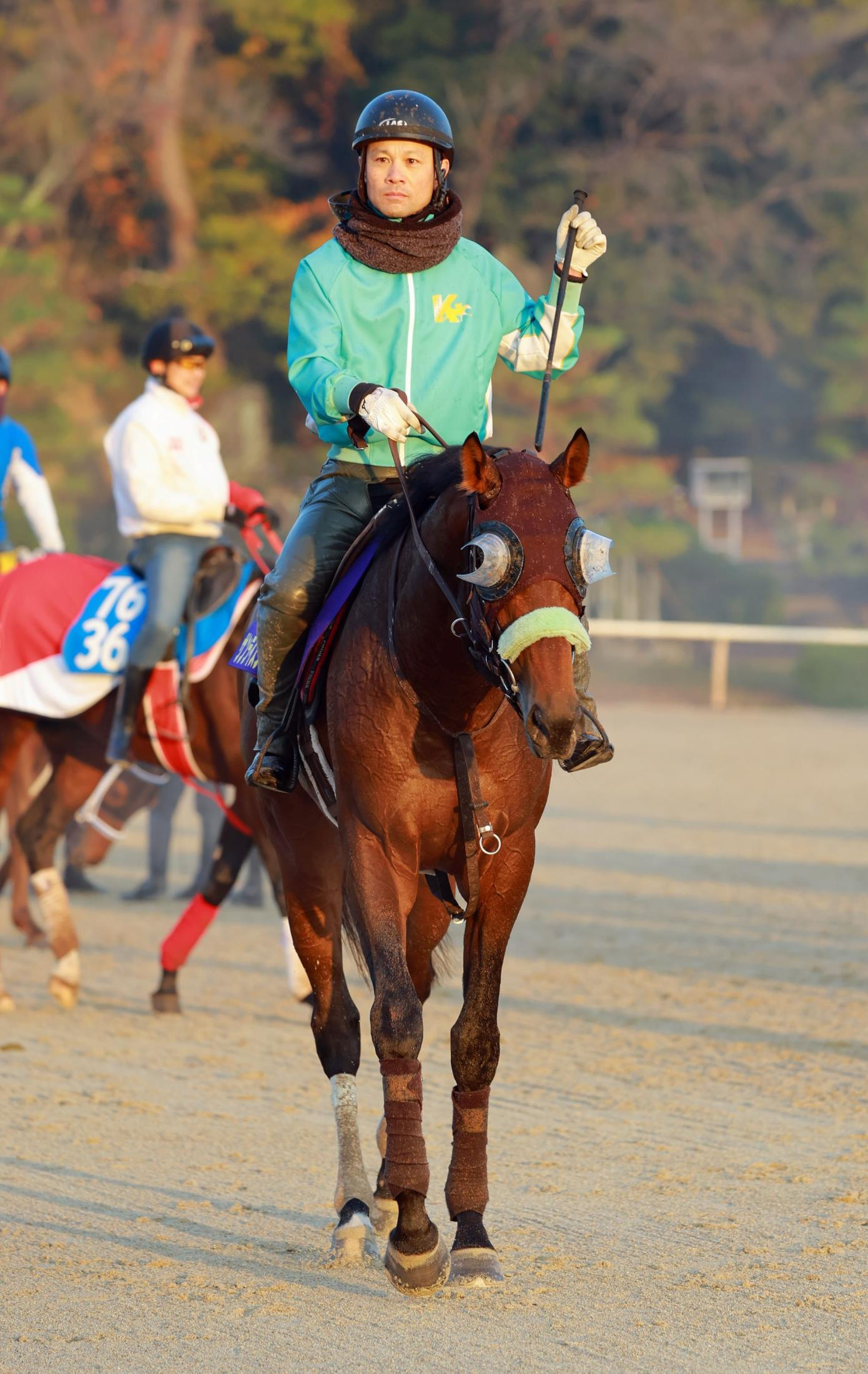 【チャンピオンズＣ】サンライズジパング　筋肉モリモリ　前川師も納得の仕上がり「元気ですね」