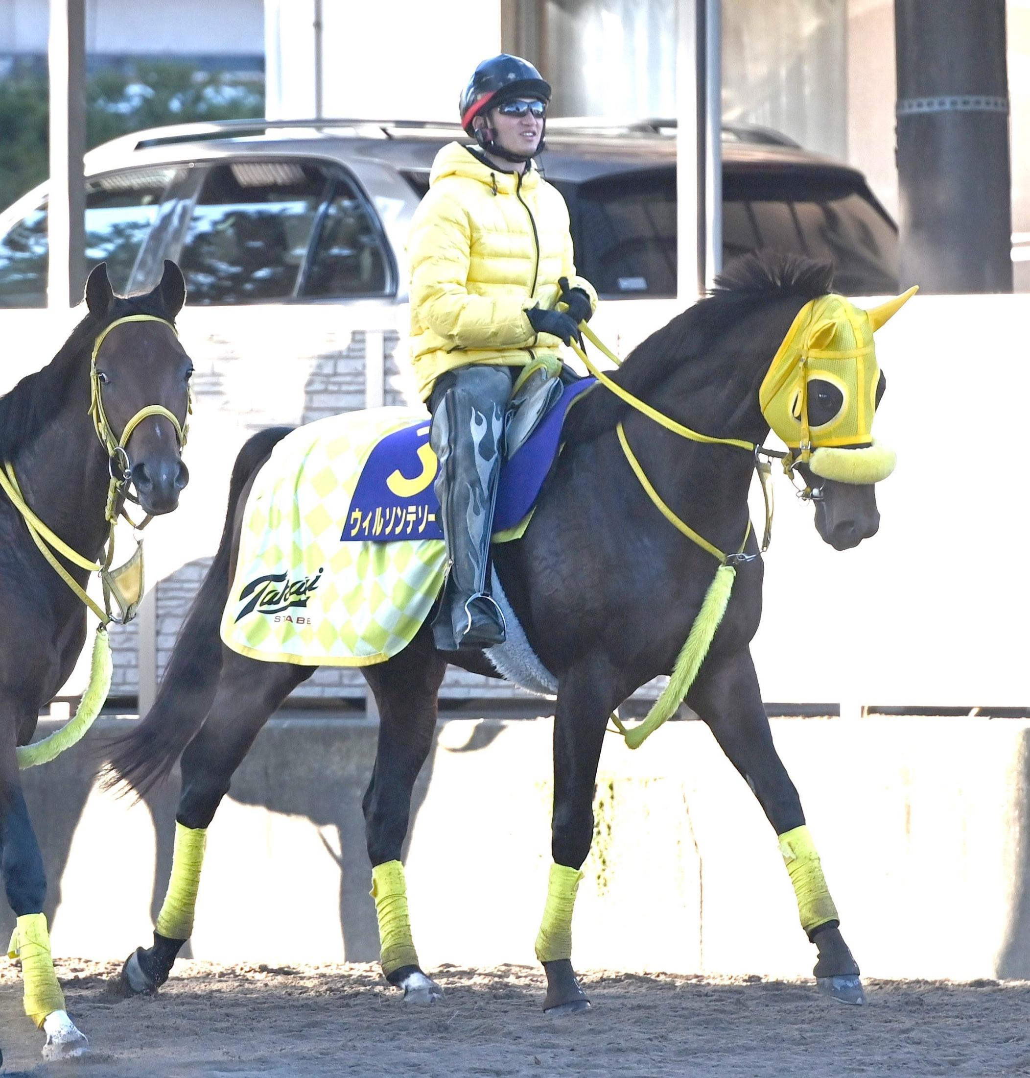 【チャンピオンズＣ】ウィルソンテソーロ　反撃態勢整った　陣営「これまでと遜色ない出来です」