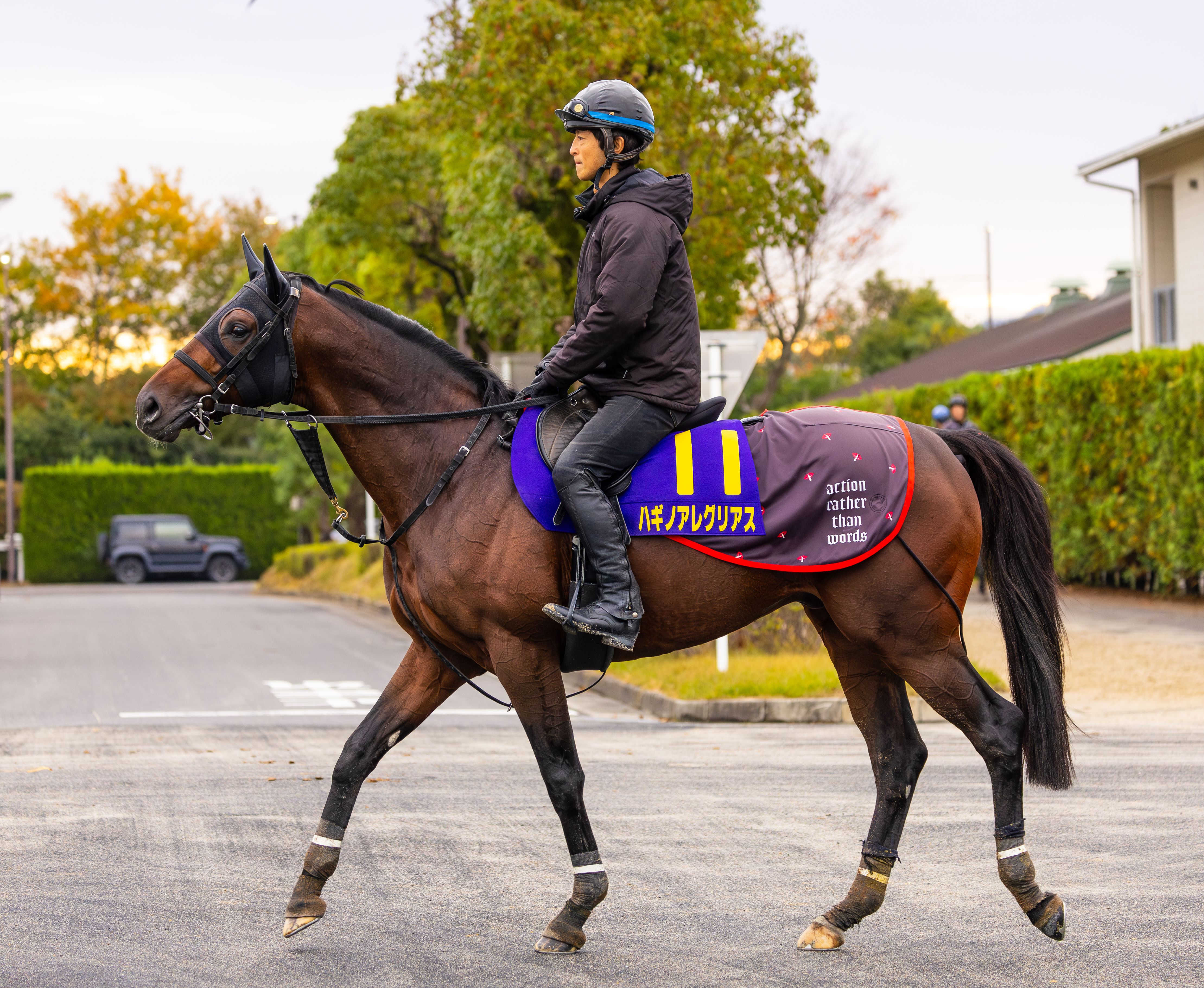 【チャンピオンズＣ】ハギノアレグリアス　態勢万全　四位師は好勝負を期待「少しでも上を目指したいね」