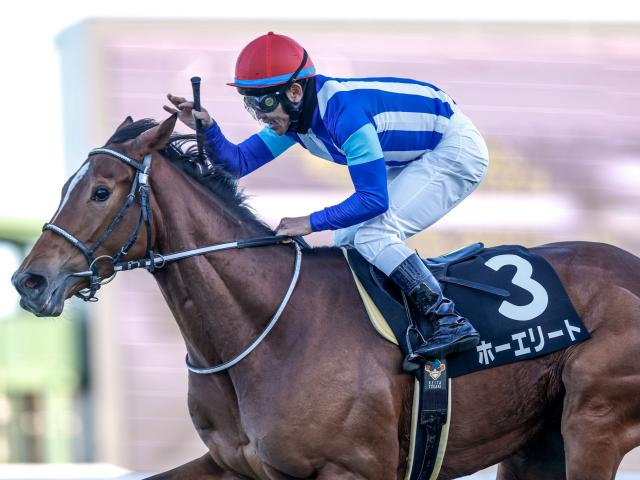 【ステイヤーズS予想】中山の名物重賞 芝3600mのスタミナ勝負を制すのは