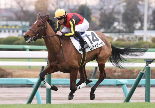 【中山5R・新馬戦】1番人気ゴディアーモが初陣V!　ルメール「楽勝だった」