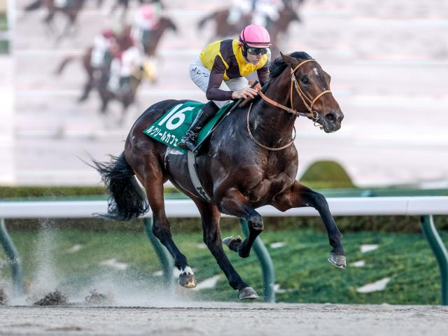 【チャンピオンズC予想】前走で積極的な競馬を経験しているのはマイナス!? 重賞馬でも軽視したい一頭とは