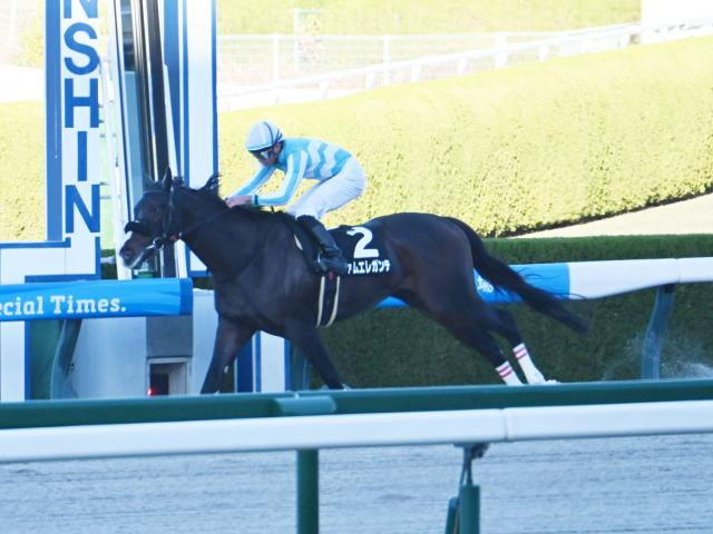 【JRA・WIN5】本日のWIN5は的中1893票、配当15万7470円