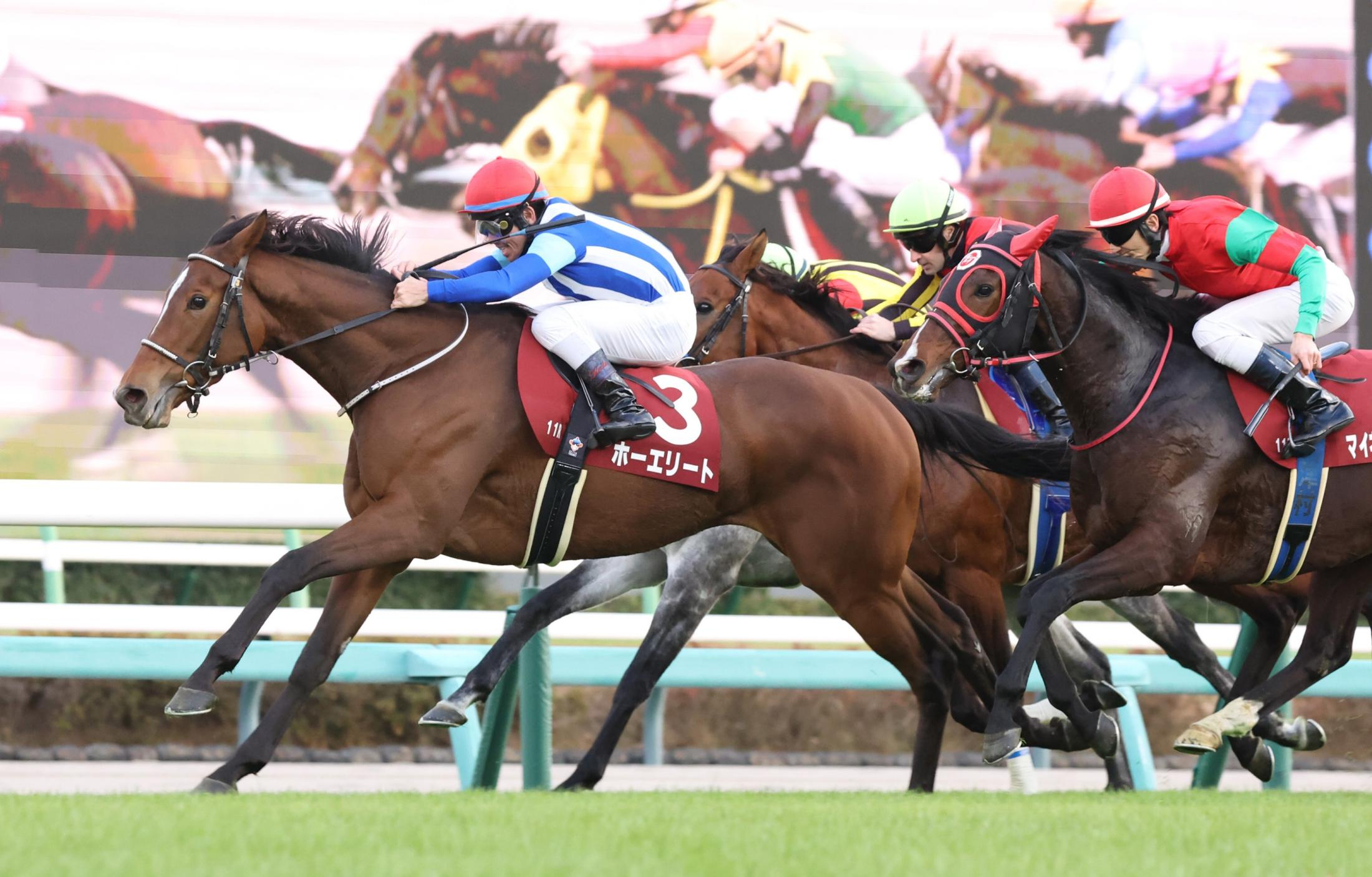 【ステイヤーズＳ】２番人気ホーエリートが重賞初制覇　８６年以来３９年ぶりの牝馬Ｖ　戸崎圭「牝馬で勝つことができてすばらしい馬だと感じています」