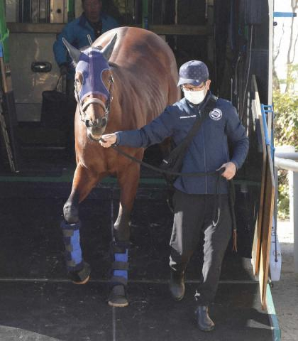 【チャンピオンズC】(12)ナルカミ　前売り1番人気　厩舎3連覇狙う