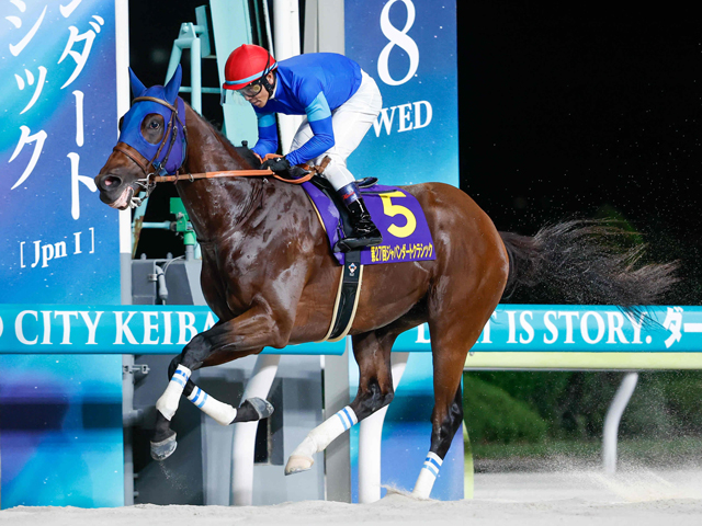 【今日の注目ポイント】チャンピオンズCでナルカミがダート界の頂点を狙う