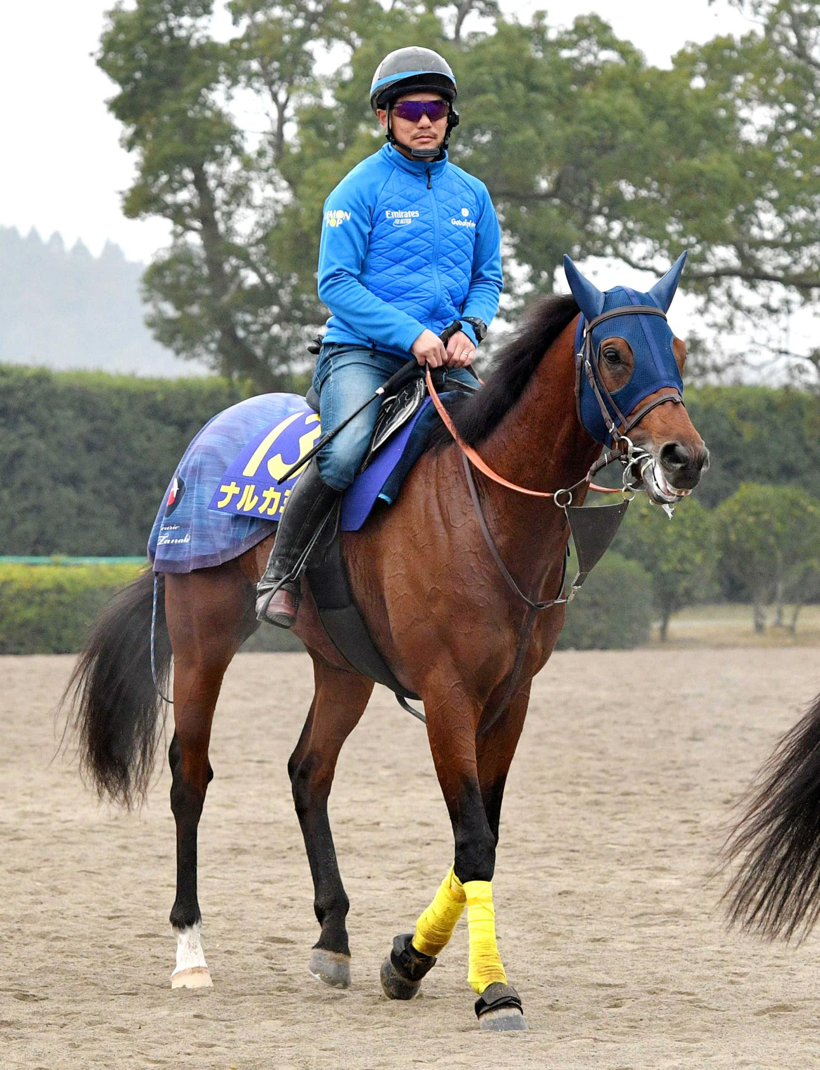 【チャンピオンズＣ】ナルカミ　飯塚助手「精神面が落ち着いてきた、馬に幅が出てダート馬っぽい感じになってきた」