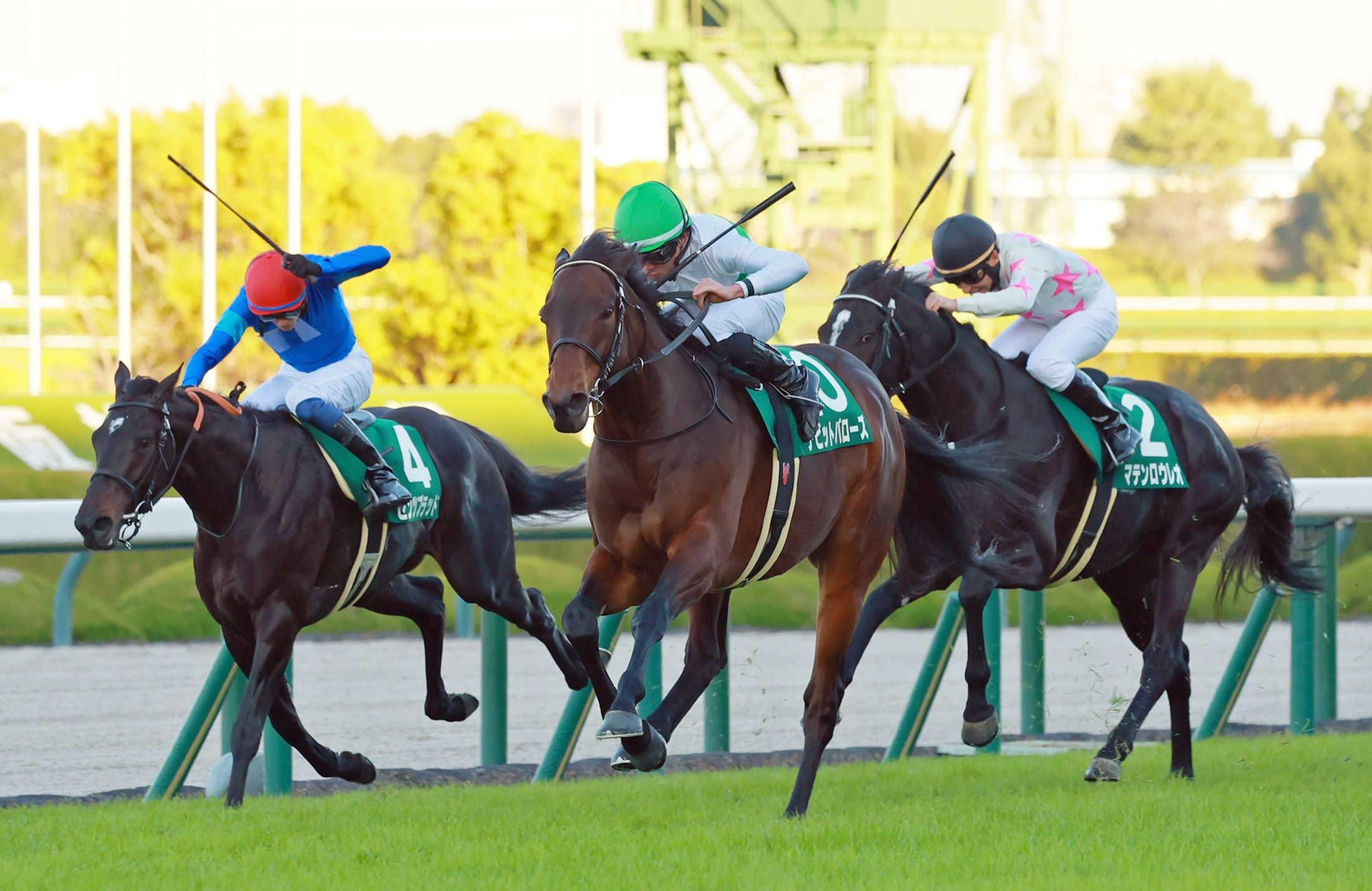 【鳴尾記念】デビットバローズ圧巻の重賞初制覇　直線抜け出し２馬身差　岩田望「強い勝ち方」