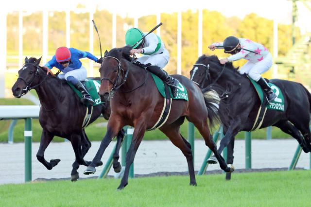 【鳴尾記念・レースメモ】関西馬2010年ルーラーシップ以降16年連続64勝目