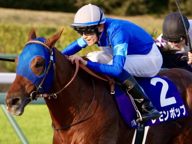 ノーザンファーム産の伏兵に注目 過去データからチャンピオンズCを分析