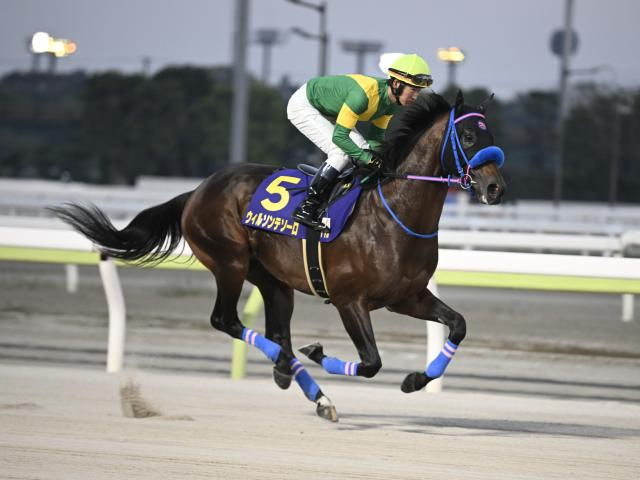 【チャンピオンズC予想】下半期のJRAダート王者決定戦 外枠の逃げ・先行馬にはタフなコース形態