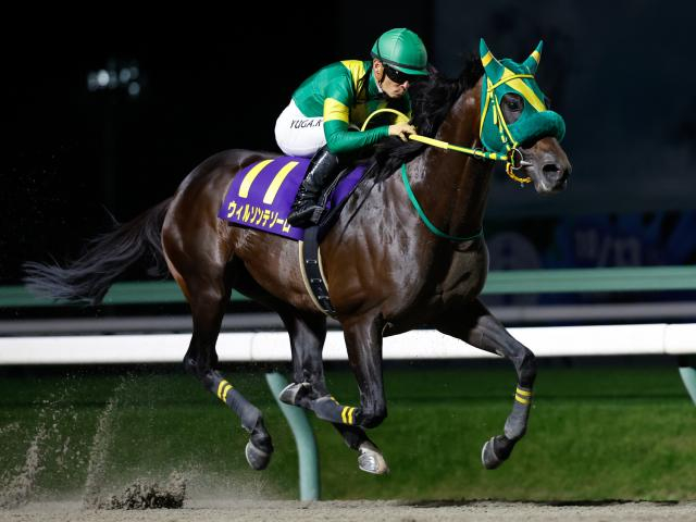 【チャンピオンズC予想】パターンから狙えるタイプとは？ 過去データから探るGIチャンピオンズC