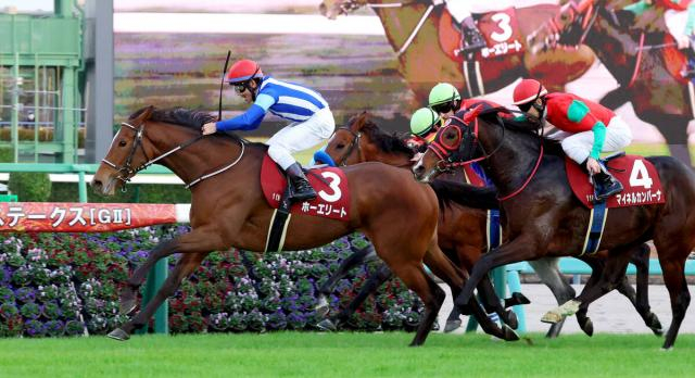 【ステイヤーズS】「余裕と手応えがあった」戸崎騎手がホーエリート重賞初V導く　牝馬として39年ぶり　