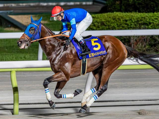 【チャンピオンズC・馬体重】ナルカミは508kg(+3)、ダブルハートボンドは474kg(-2)