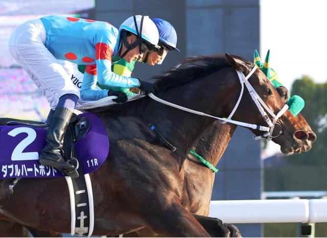 【チャンピオンズC】わずか9センチ差!ダブルハートボンド、激闘制し10年ぶり牝馬V!瑠星騎手「(この馬と)4連覇、5連覇したいです」