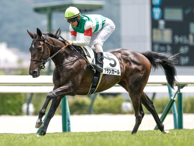 2歳女王決定戦・阪神JFなど3重賞/今週の競馬界の見どころ