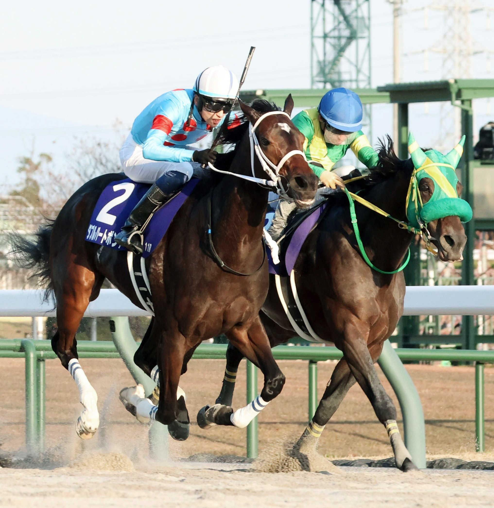 【チャンピオンズＣ】ダブルハートボンド　坂井瑠星３連覇で導いた！１０年ぶり牝馬Ｖ　ウィルソンテソーロと壮絶たたき合い