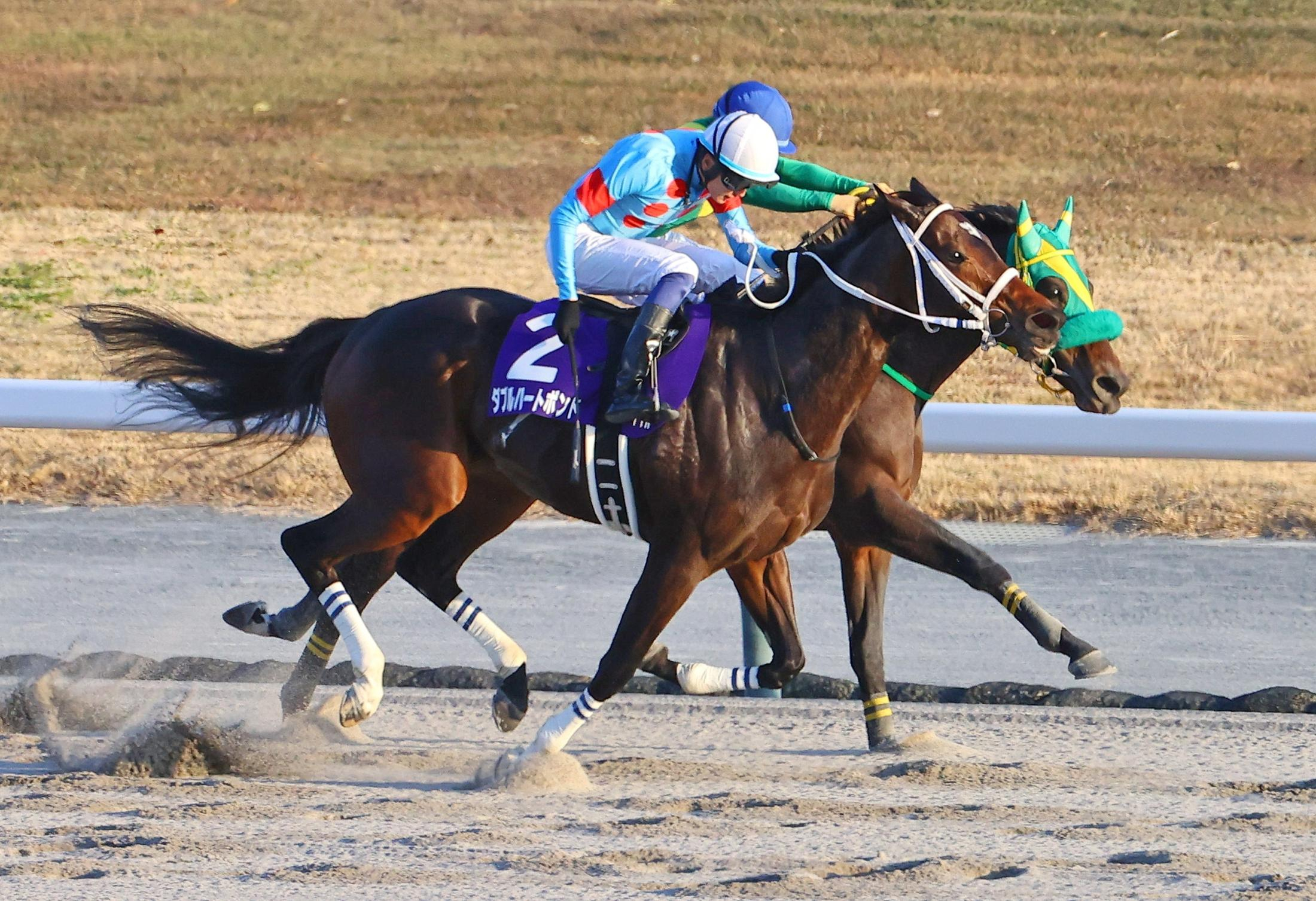 【南井克巳元調教師　豪腕の視点】勝敗を分けた１、２コーナーの攻防　番手でしっかりと折り合いをつけたダブルハートボンド