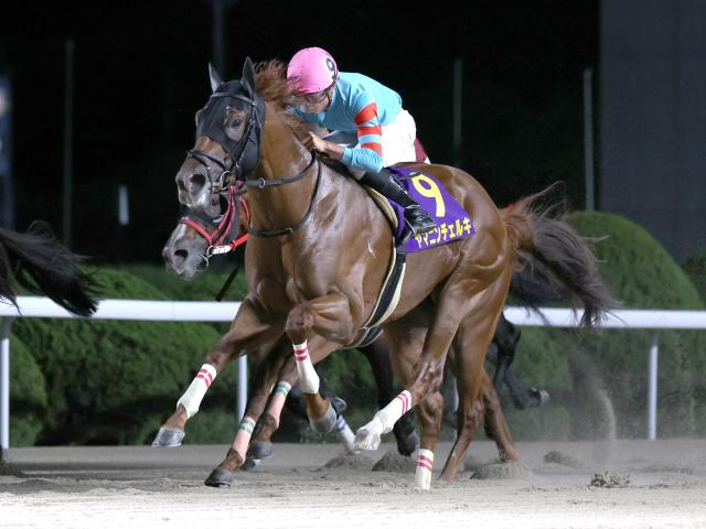 【カペラS見どころ】成長一途のヤマニンチェルキが連勝を伸ばす