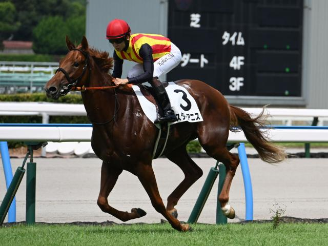 【阪神JF見どころ】切れ味抜群スターアニスが戴冠を狙う