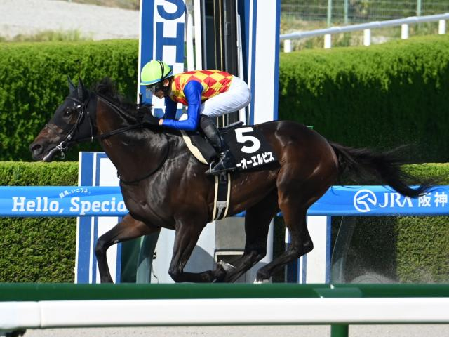 【カペラS想定騎手】テーオーエルビスは鮫島克駿騎手、ガビーズシスターは吉田隼人騎手