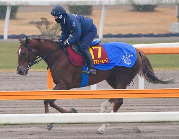 【阪神JF】ヒズマスターピース　名伯楽・国枝師の夢を乗せて“アパパネの道”へ