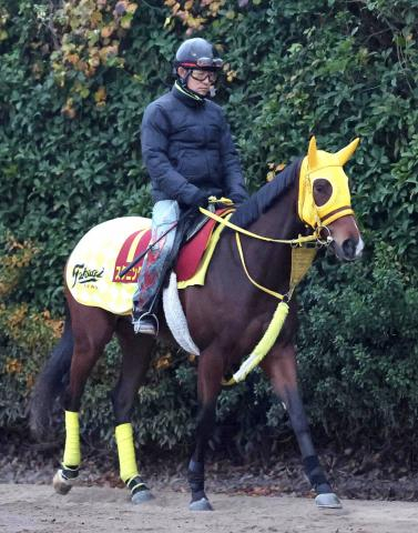 【阪神JF・考察】今年も穴党の出番!?淡々とした口ぶりの高木調教師が自信あり　抽選通ればスタニングレディ一発あるぞ