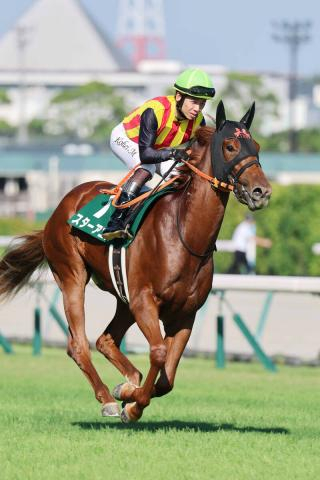 【阪神JF・超ブル診断】混戦では馬体重が重要なファクター　キャリア&前走条件も加えると浮かび上がるのはスターアニス