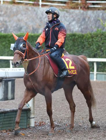 【阪神JF】スピードだけじゃない!　スターアニスが初のマイルでG1挑戦　高野調教師「スピードとスタミナを兼備」