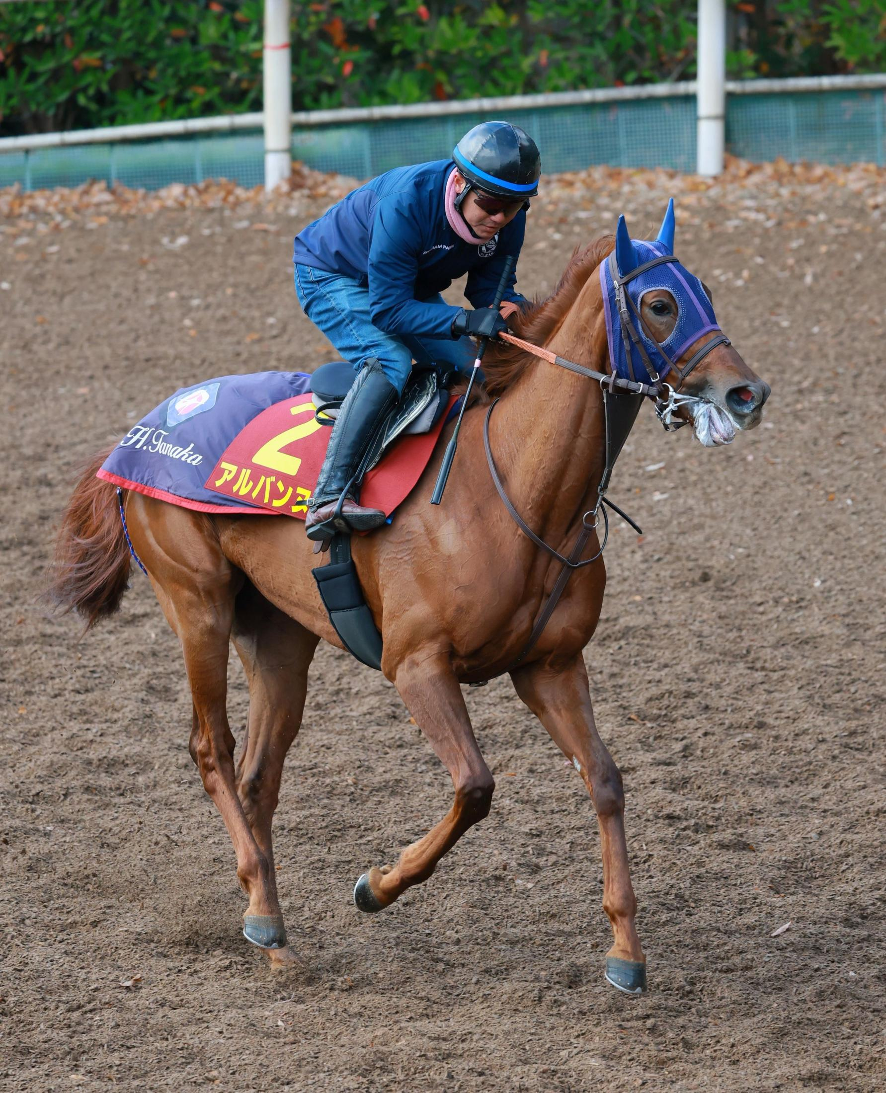 【阪神ＪＦ】アルバンヌ　舞台経験生かす　陣営も手応え「落ち着いています」