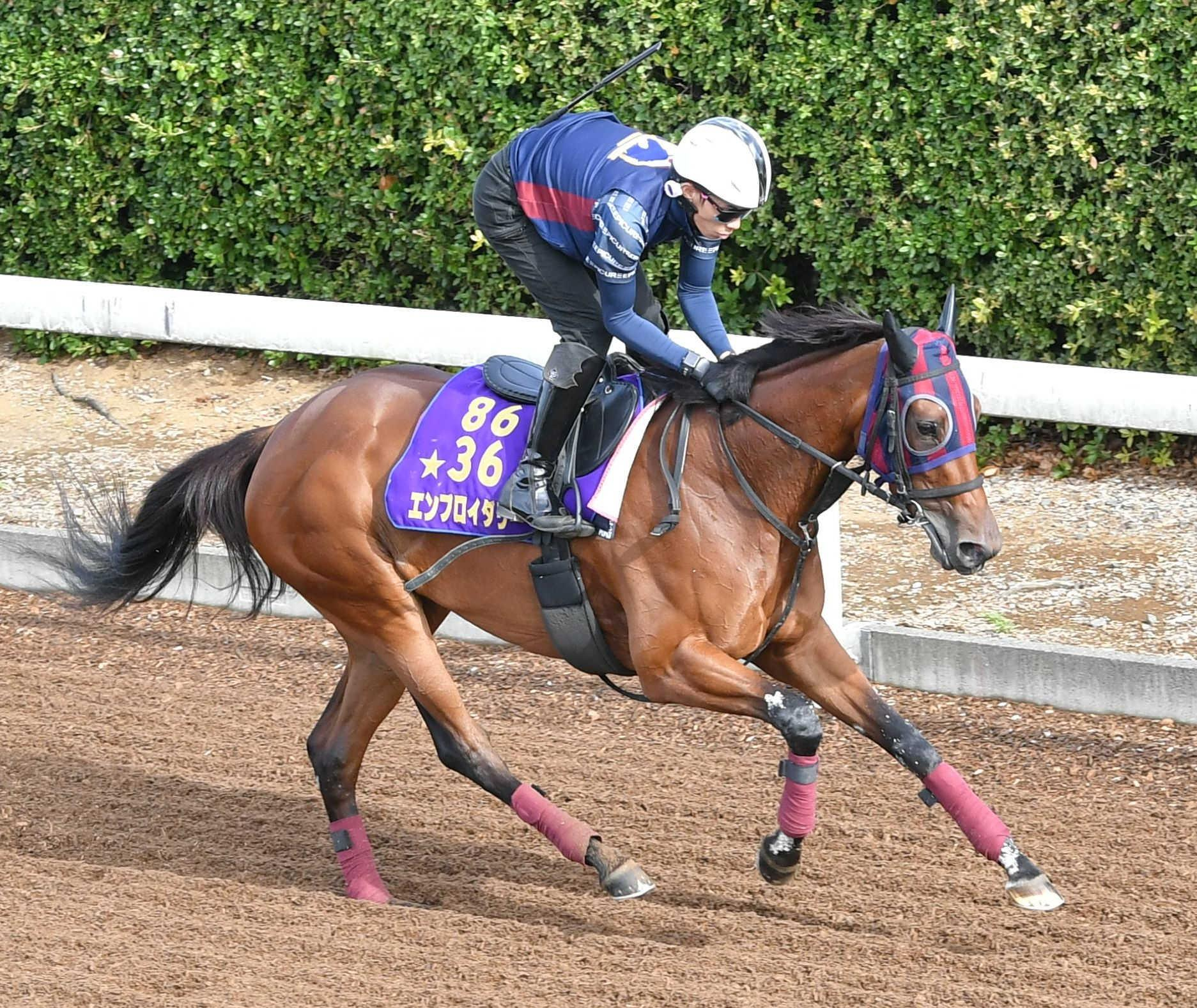 【香港マイル】エンブロイダリー　史上初の父子制覇だ　森一師「（千六が）一番力を発揮できる」　精神面の課題も克服で万全