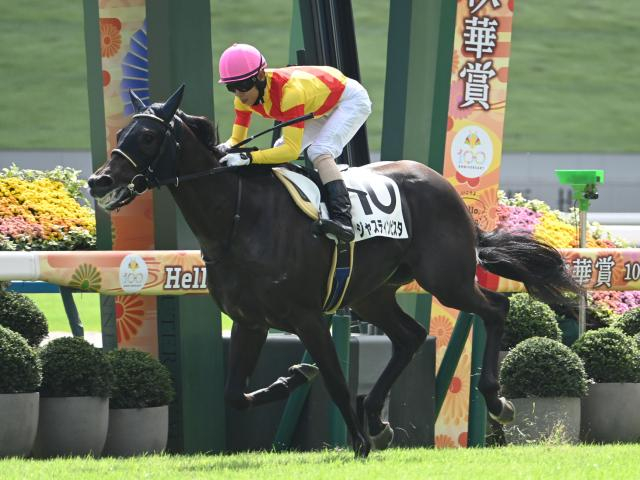 【ホープフルS想定】ジャスティンビスタ、アンドゥーリルなど13頭