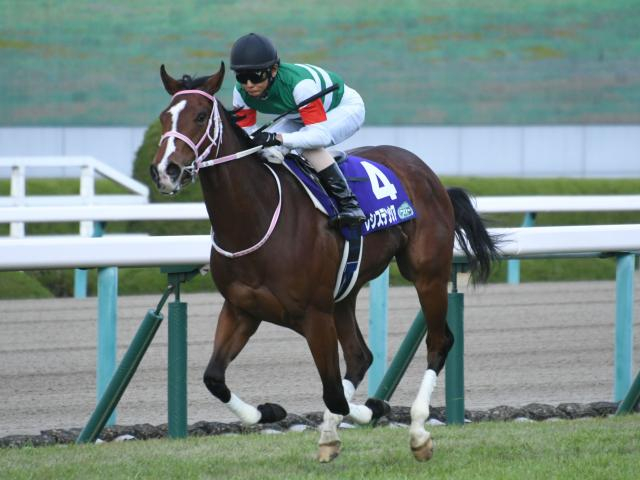 阪神タイガースの選手3人が競馬場に来場 阪神JFと「黄枠」＆「黒枠」の相性は？