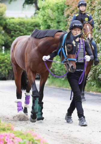 【注目馬動向・古馬】転厩したファウストラーゼンはアメリカJCCでの復帰を視野